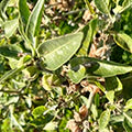 inside-image1