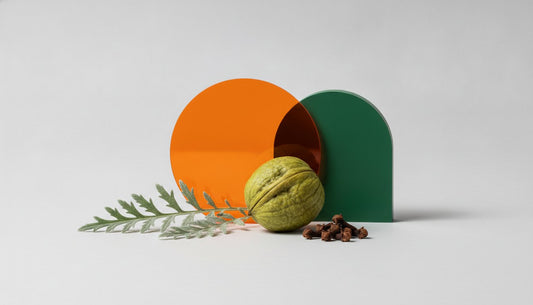 Wormwood and Black Walnut Supplement UK: A Guide to Botanical Intestinal Support