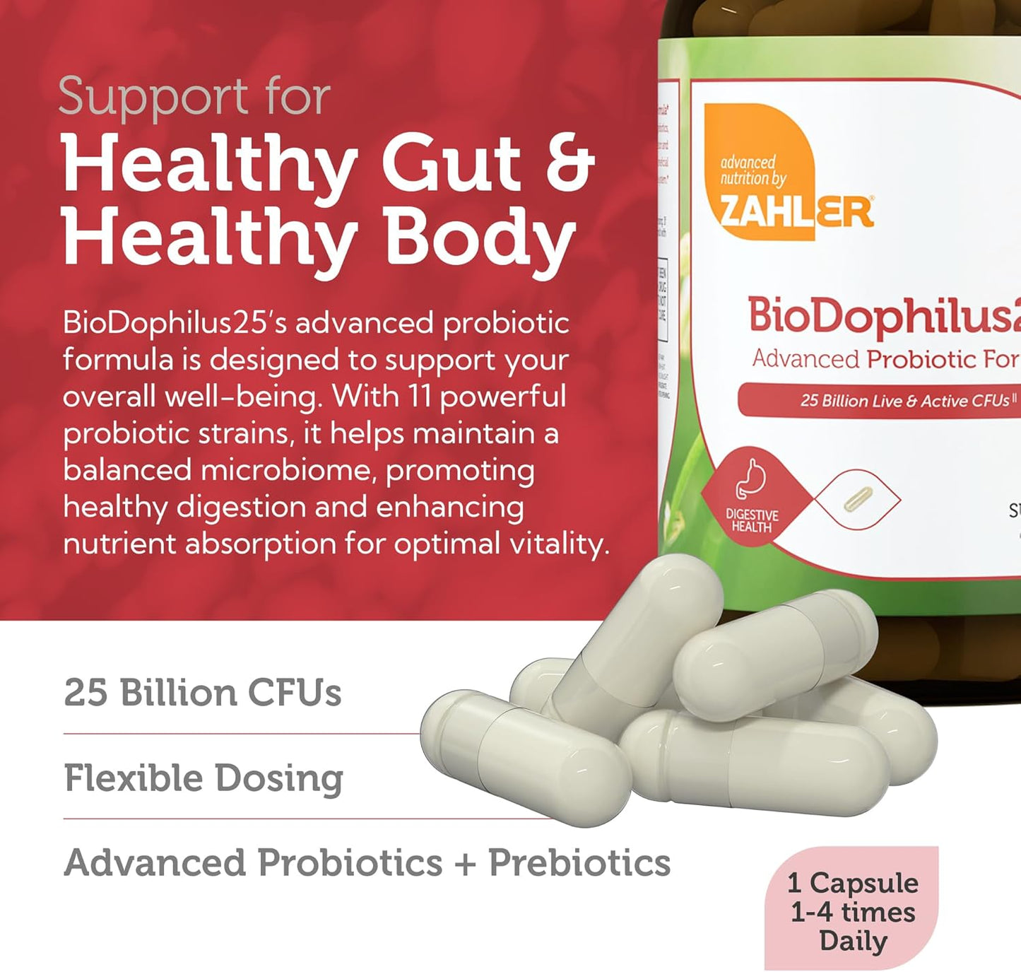 BioDophilus25 Probiotic Capsules with Prebiotic | 25 Billion CFU Gut Health | 60 Capsules