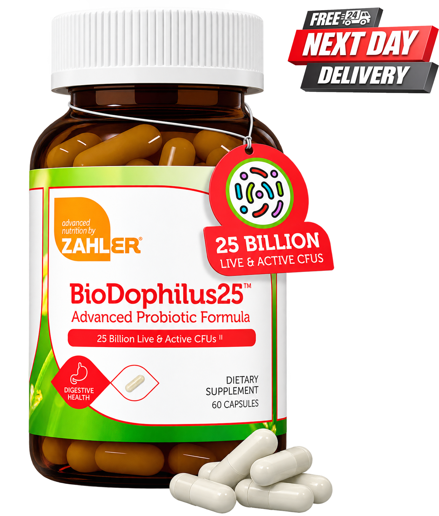 BioDophilus probiotic capsules bottle showcasing 25 billion live CFUs for digestive health in 60 capsules.
