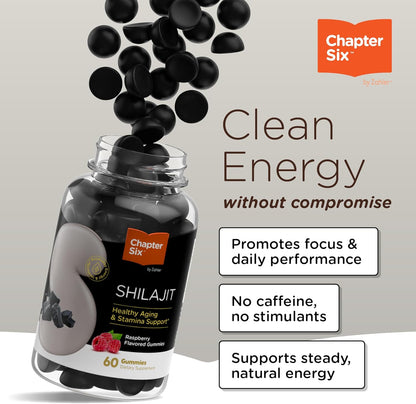 Zahler Chapter Six Shilajit Gummies Packaging – Natural Focus and Stamina Supplement